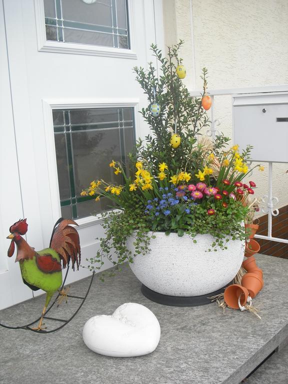 Apartment Haus Kotthoff Cochem